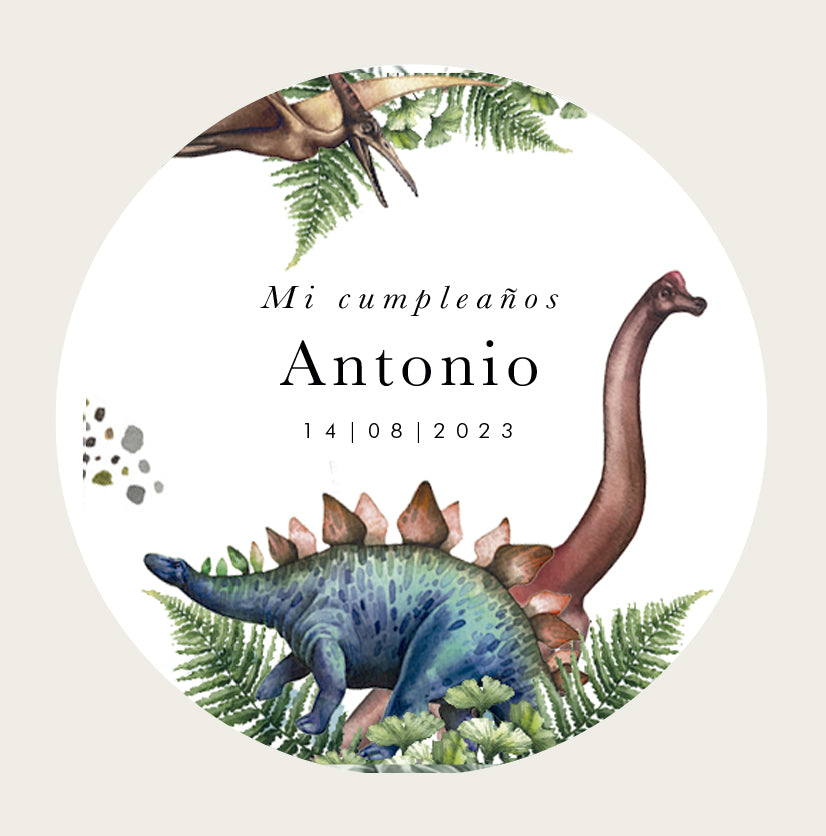 Pegatinas personalizadas de cumpleaños de dinosaurios - Etiquetas Dino  Favor - Pegatina de cumpleaños personalizada - Pegatinas para favores de