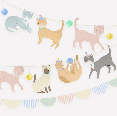 fiesta gatitos