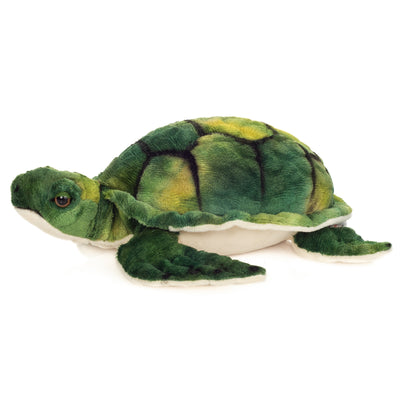 Tortuga de agua 23 cm