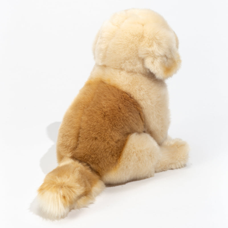 Golden Retriever sentado 25 cm