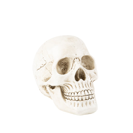 Calavera de resina Halloween