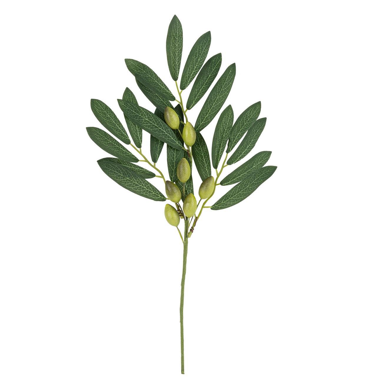 Rama de olivo y follaje verde 38cm