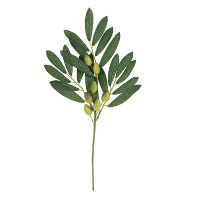 Rama de olivo y follaje verde 38cm