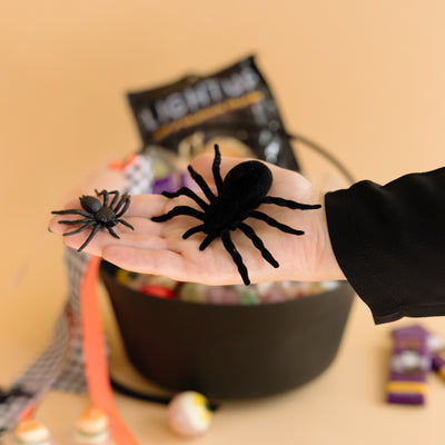 tarantula halloween