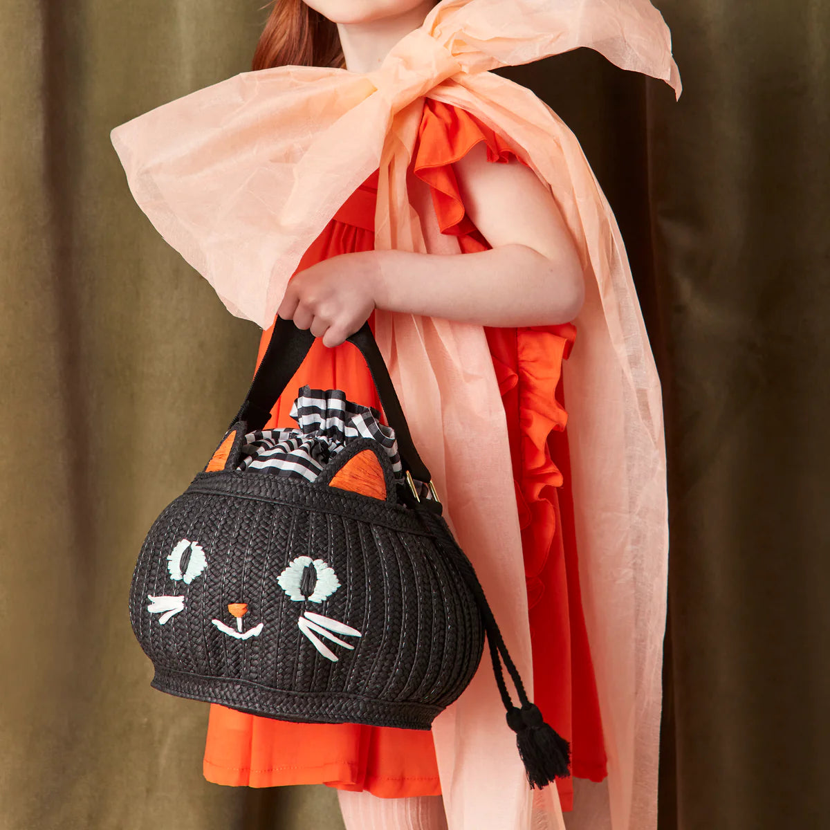 Trick or Treat Cat Bag