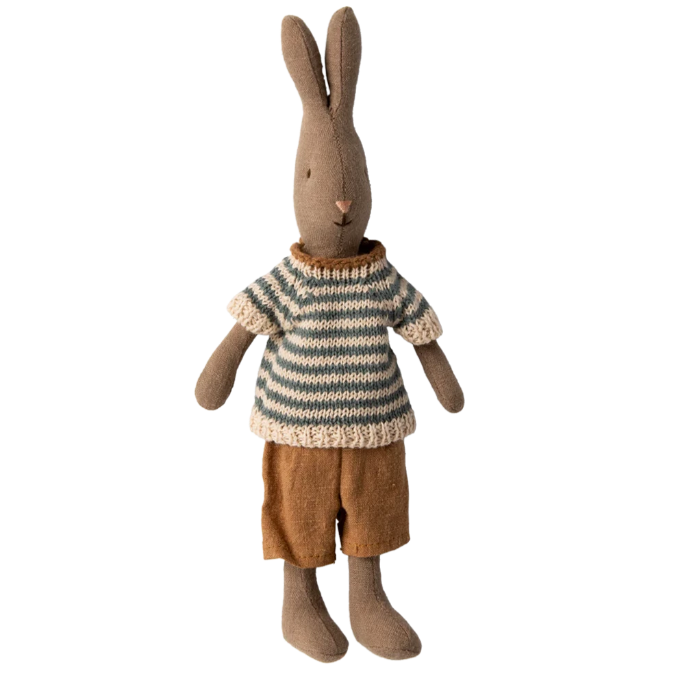 Brown bunny with shirt and pants