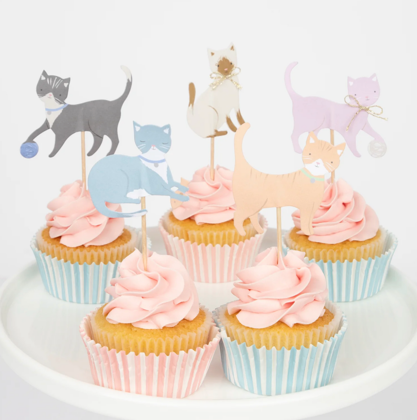 Cupcake kit cute kittens