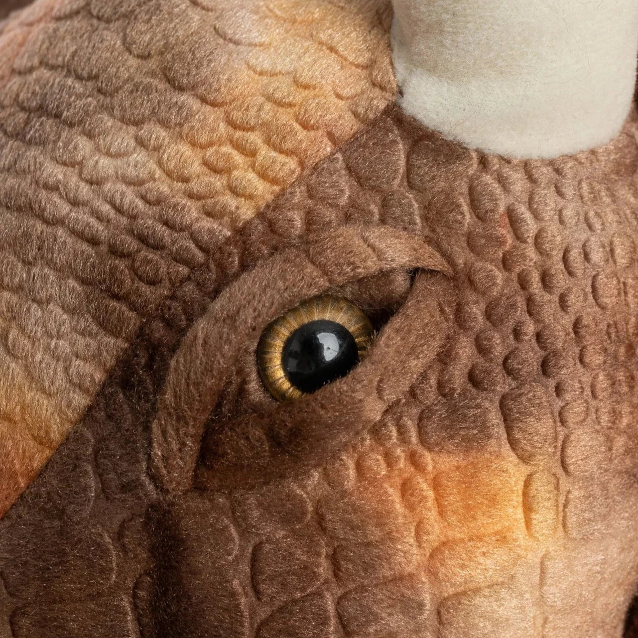 Fato de capa de dinossauro Triceratops marrom com luvas
