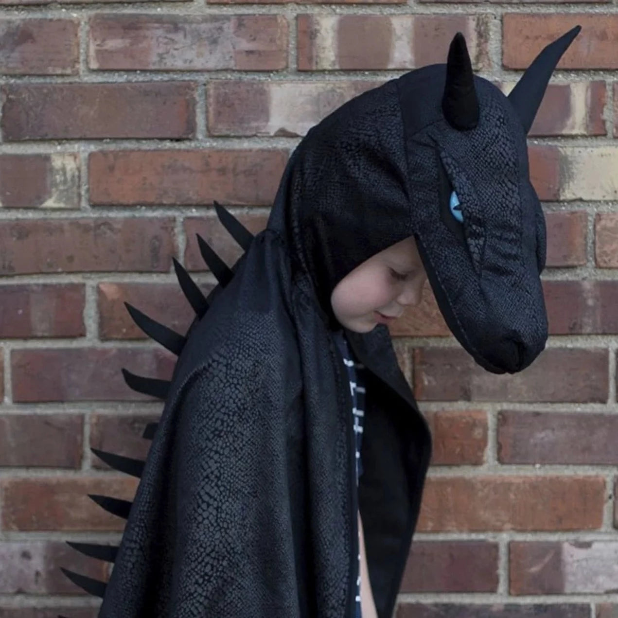 Midnight Dragon Cloak Costume