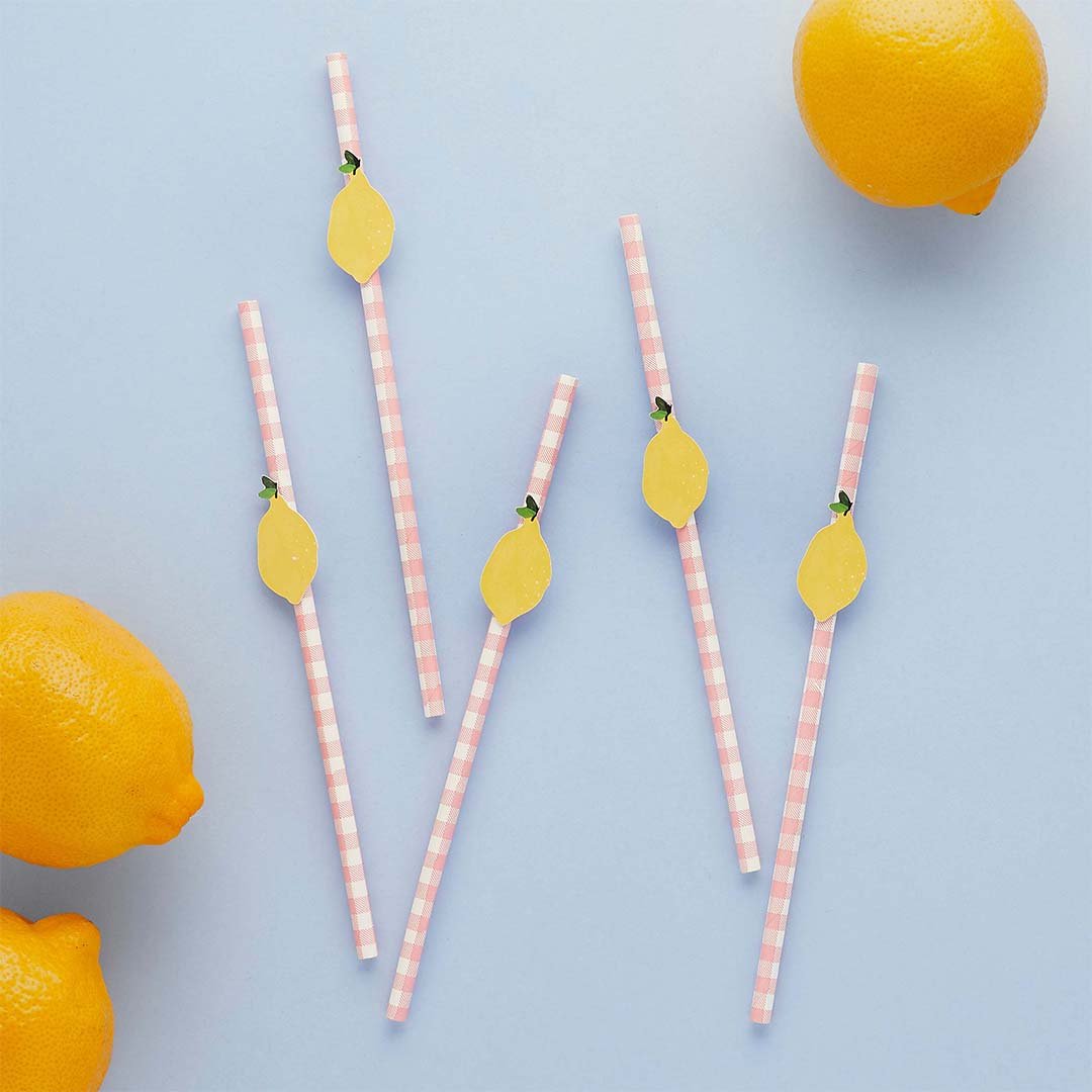 Pajitas de papel Vichy&Lemons / 20 uds.