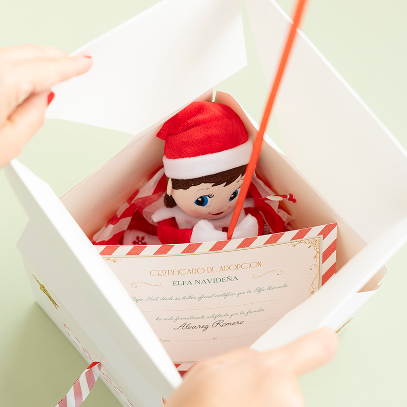 WOW BOX Personalized Christmas Elf * Limited Edition *