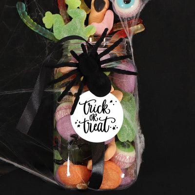 XL Trick or Treat Halloween Spider Jar