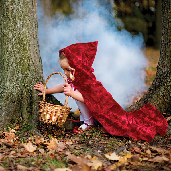 Red Riding Hood Basket Purse with Enchanted Tree for Halloween Trick or Treat cheapest in Silver, Black and Red