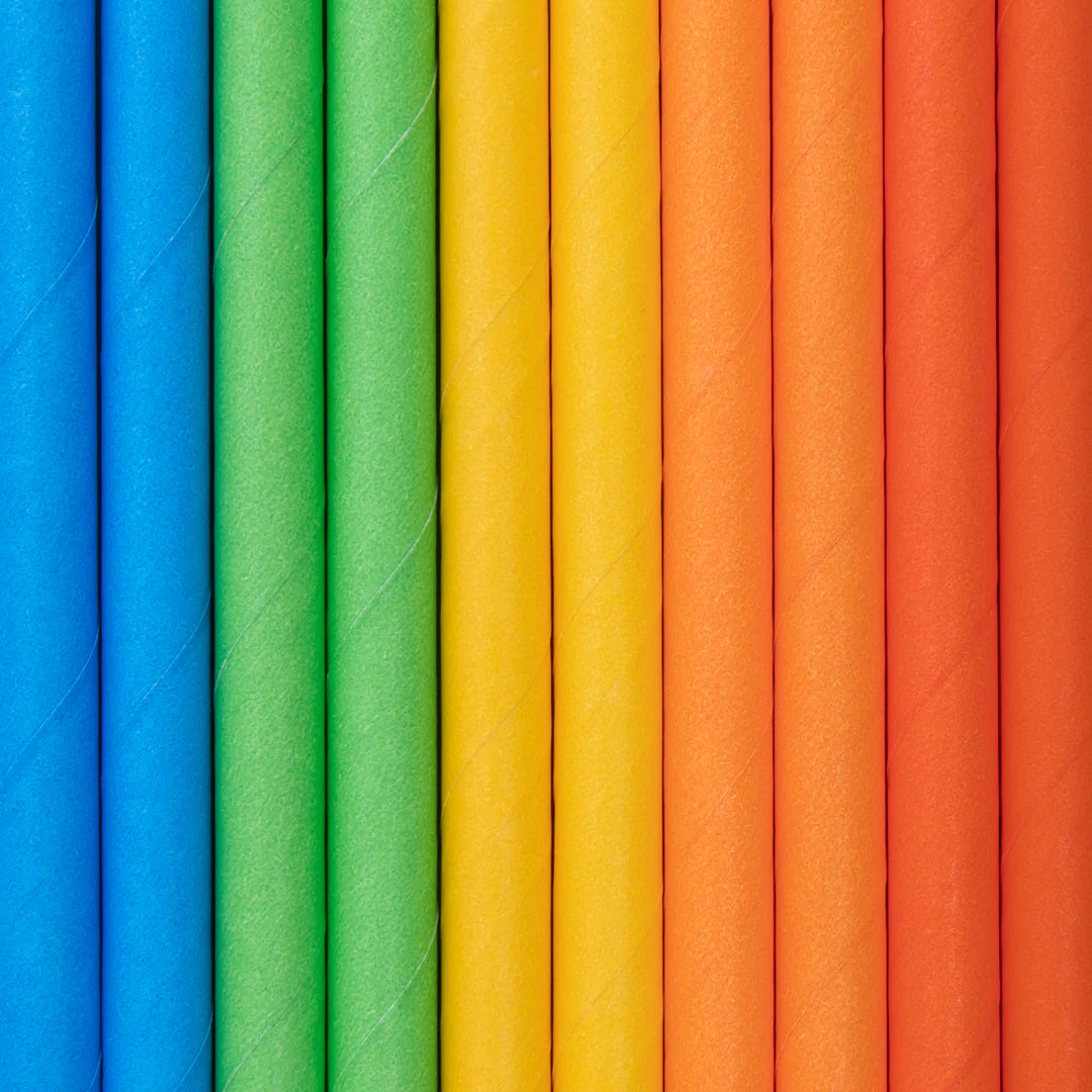 Palhinhas de papel de mistura de arco-íris / 10 pcs.